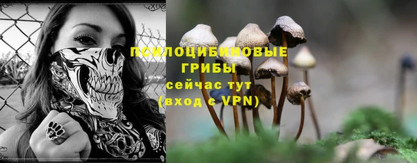 PSILOCYBIN Кодинск
