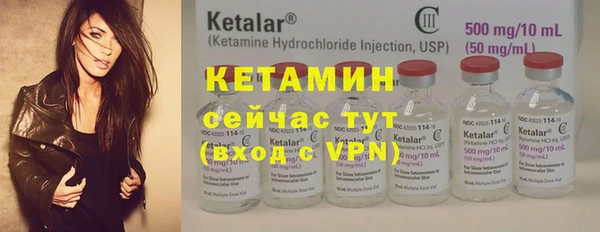 сатива Кохма