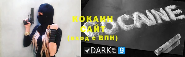 PSILOCYBIN Кодинск