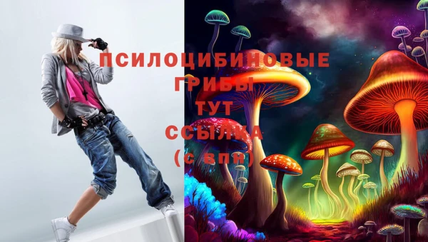 метамфетамин Козловка