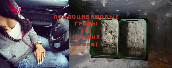 винт Костерёво